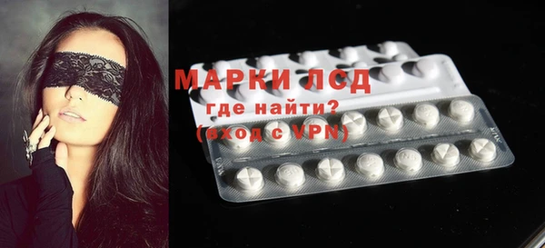 МДПВ Пересвет