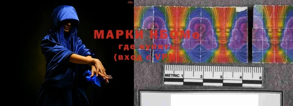 МДПВ Пересвет