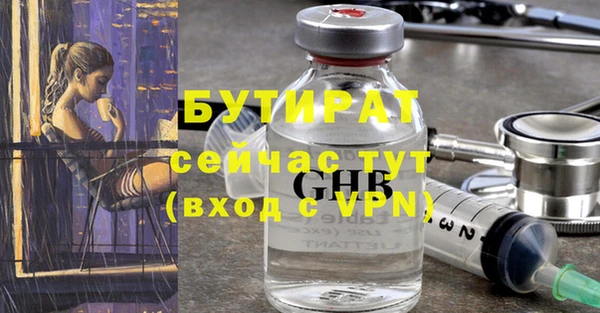 МДПВ Пересвет