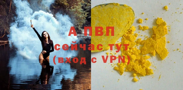 МДПВ Пересвет