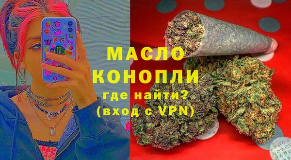 МДПВ Пересвет