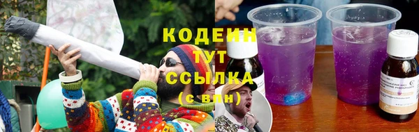 МДПВ Пересвет