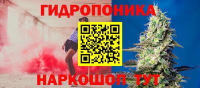 гидра Гай