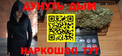гидра Гай