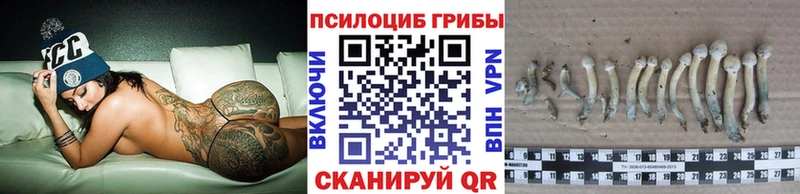 Галлюциногенные грибы Cubensis  Заводоуковск 