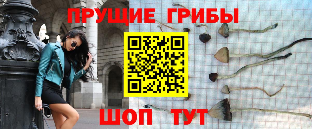 ГАШИШ  ГАШ  Каннабис  Вход с VPN  Заводоуковск  Мефедрон   Меф МЯУ МЯУ  МДМА 