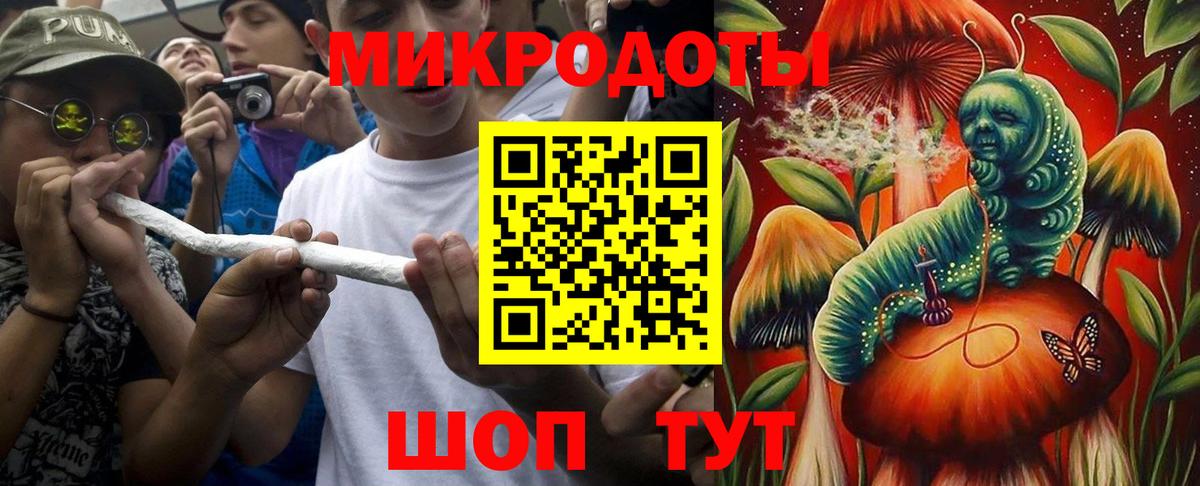 Псилоцибиновые грибы Cubensis Заводоуковск